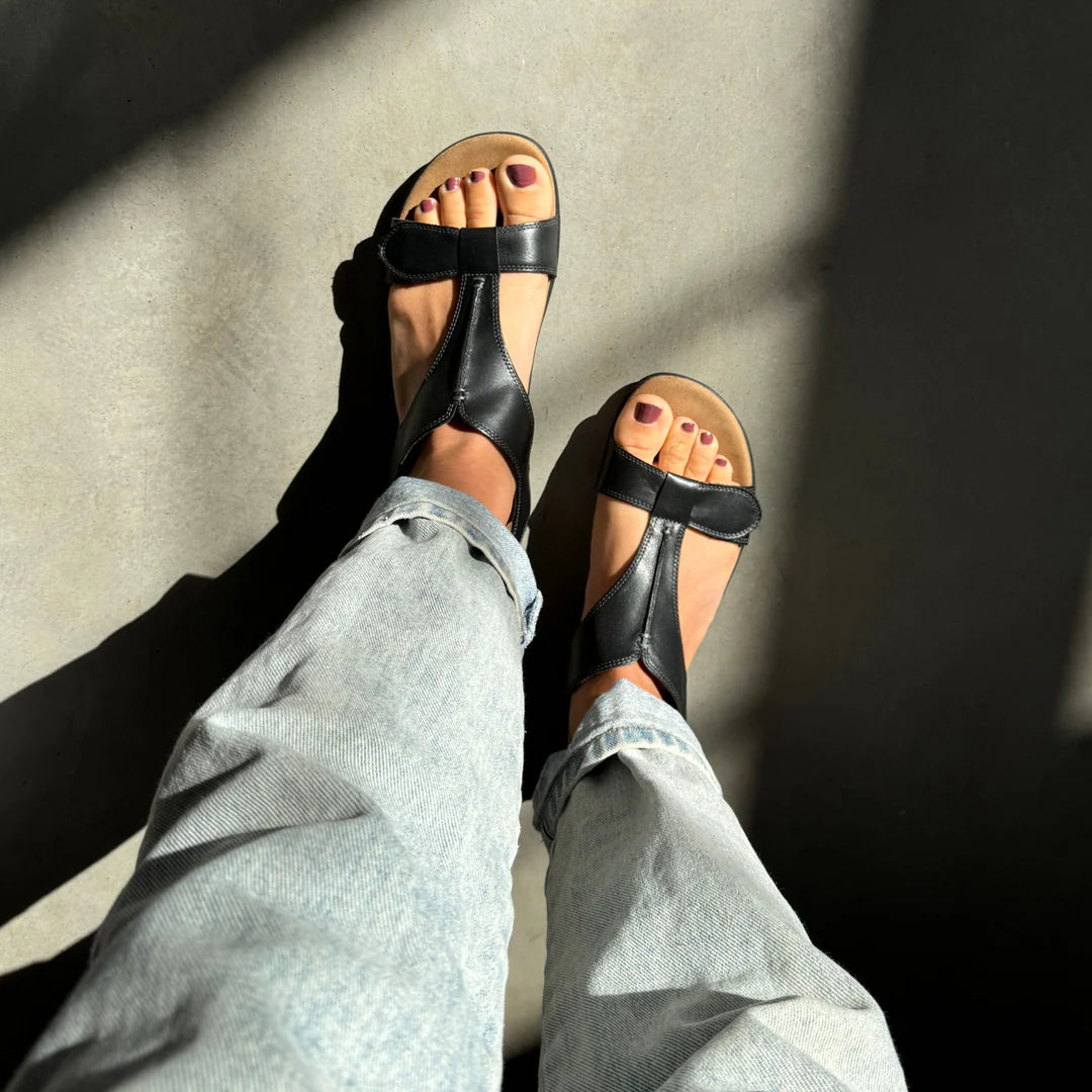 Taos - The Show - Black